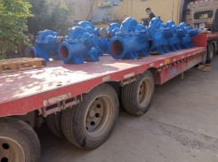 發(fa)貨現場(chang)